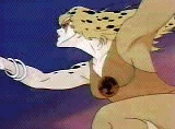 Cheetara