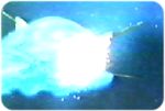 Makara's battlecruiser is hit by X-Impulse