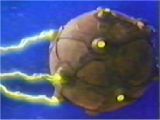 The Death Planetoid